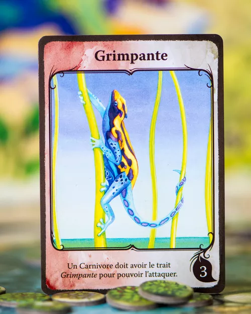 Test-jeu-Evolution-carte-4